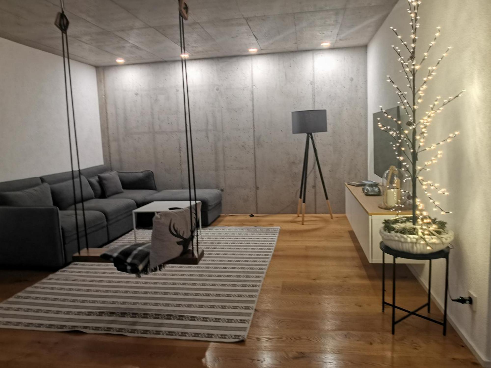 Moderne Ferienwohnung Rhenum Mit Wallbox Waldshut-Tiengen Exterior foto